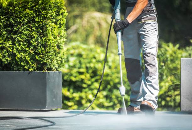 Best Oil Spill Cleanup  in South Apopka, FL