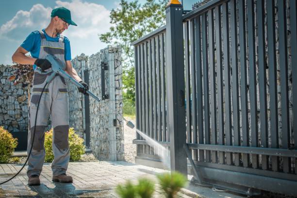 Best Gutter Cleaning  in South Apopka, FL