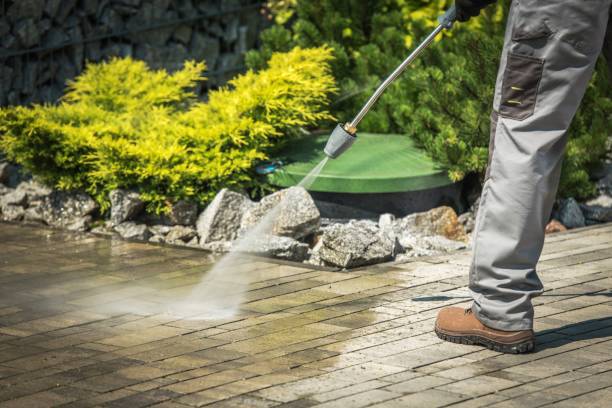 Best Animal Enclosure Cleaning  in South Apopka, FL