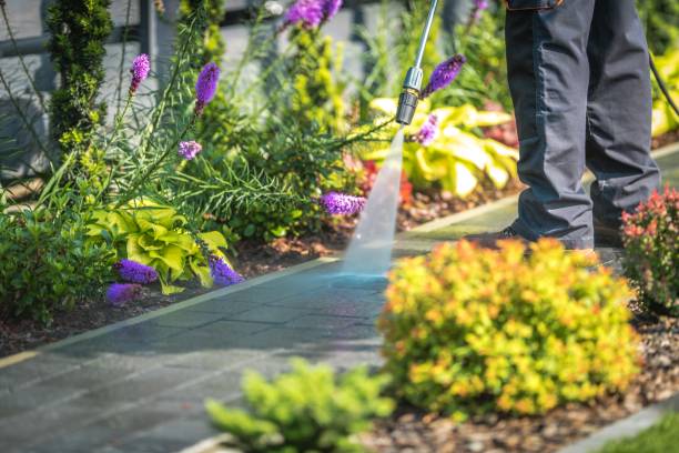 Best Roof Washing  in South Apopka, FL