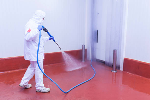 Best Spring Cleaning  in South Apopka, FL