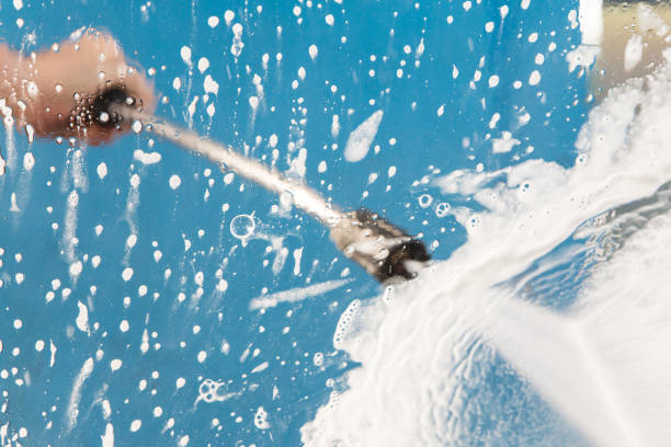 Best Soft Washing  in South Apopka, FL