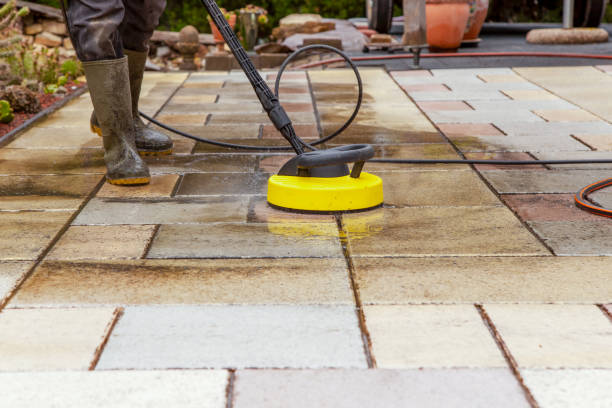 Best Building Exterior Washing  in South Apopka, FL