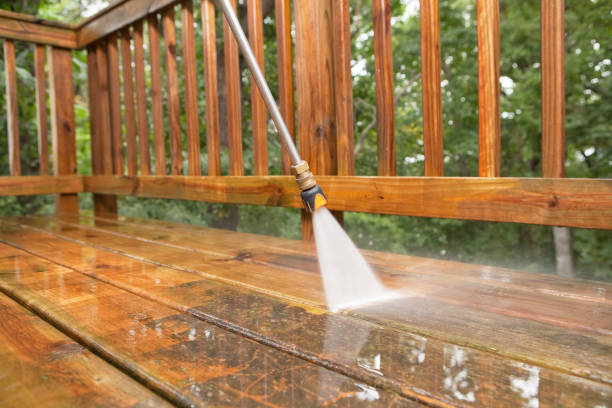 Best Building Exterior Washing  in South Apopka, FL