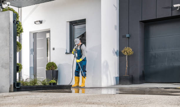 Best Driveway Pressure Washing  in South Apopka, FL